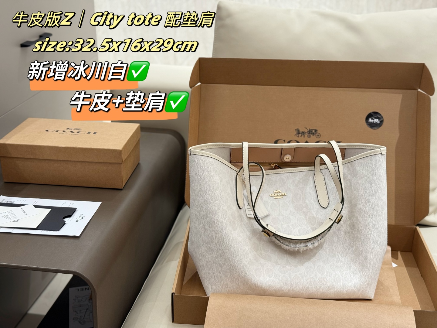 coach bag 243